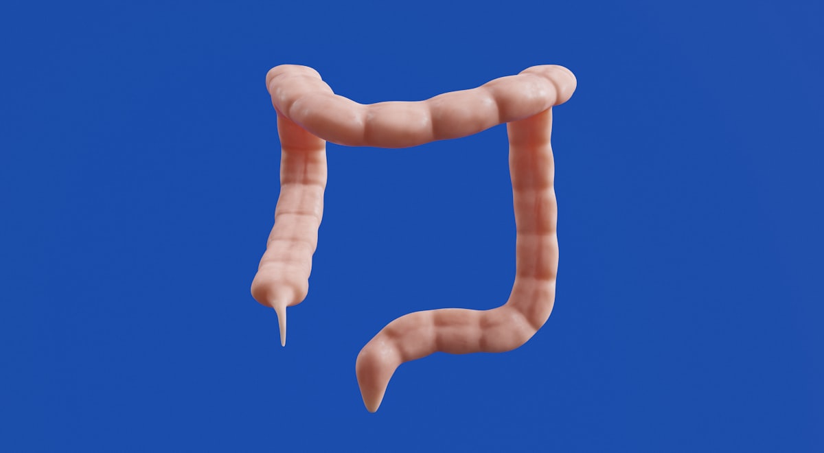 La conexión eje intestino-cerebro: cómo tu digestión afecta tu estado mental